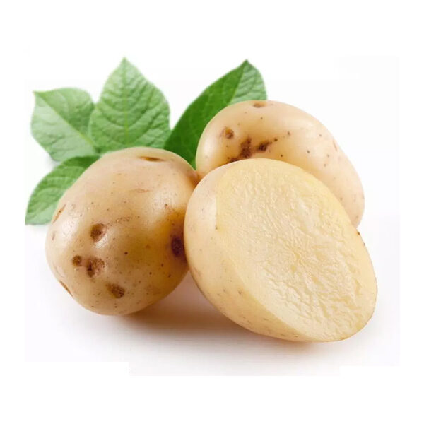 תפוח אדמה לבן ארוז